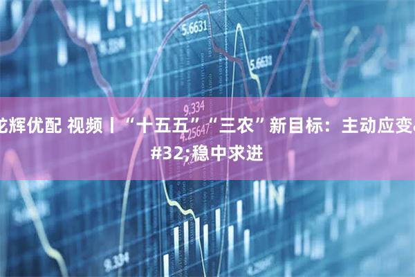 龙辉优配 视频丨“十五五”“三农”新目标：主动应变 稳中求进