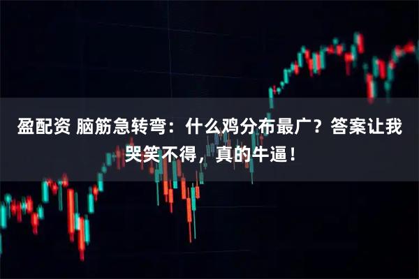 盈配资 脑筋急转弯：什么鸡分布最广？答案让我哭笑不得，真的牛逼！