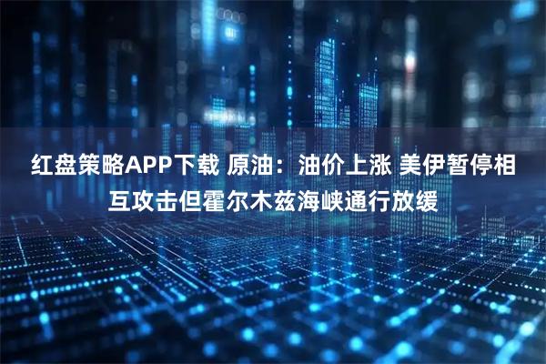 红盘策略APP下载 原油:油价上涨 美伊暂停相互攻击但霍尔木兹海峡通行放缓